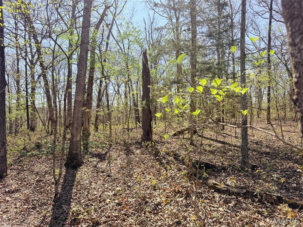 Oak Tree Farms - Farm