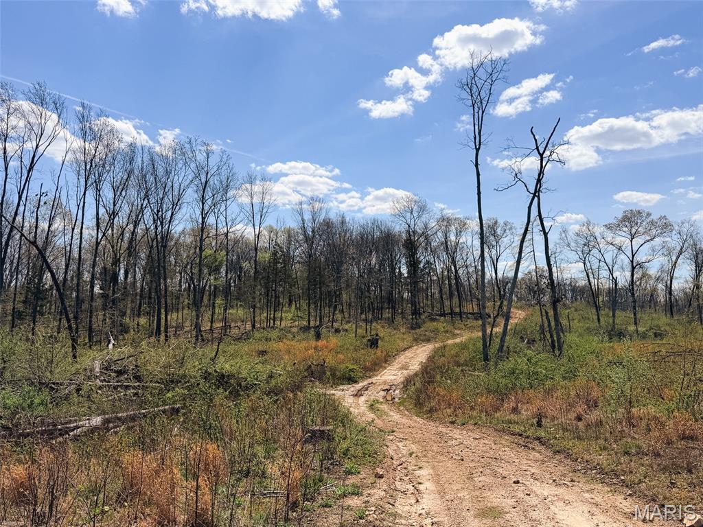 Oak Tree Farms - Farm