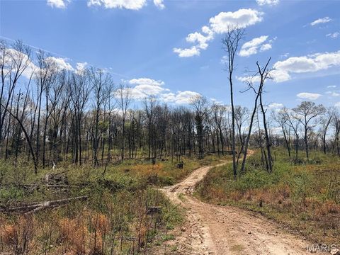 Tiny photo for 188 N Service E Road, Sullivan, MO 63080 (MLS # 26023039)