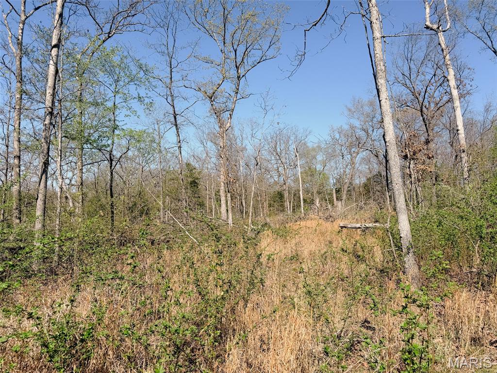 Oak Tree Farms - Farm