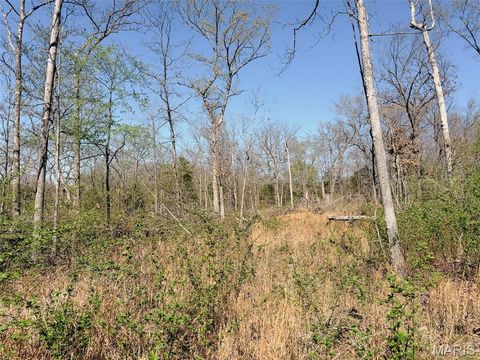 Tiny photo for 188 N Service E Road, Sullivan, MO 63080 (MLS # 26023039)