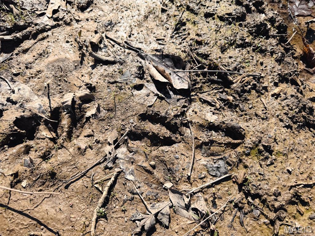 Oak Tree Farms - Farm