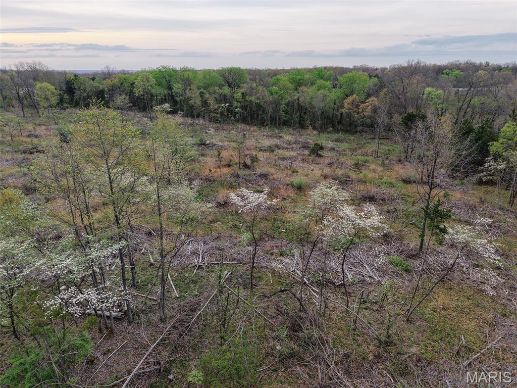 Oak Tree Farms - Farm