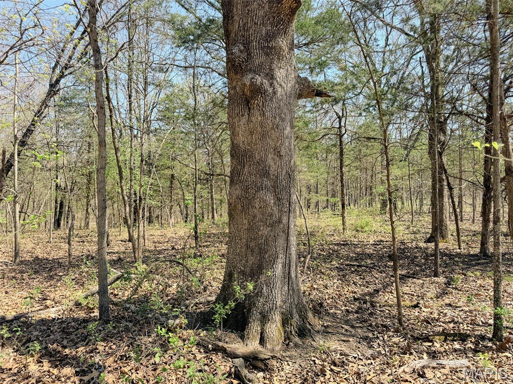 Oak Tree Farms - Farm