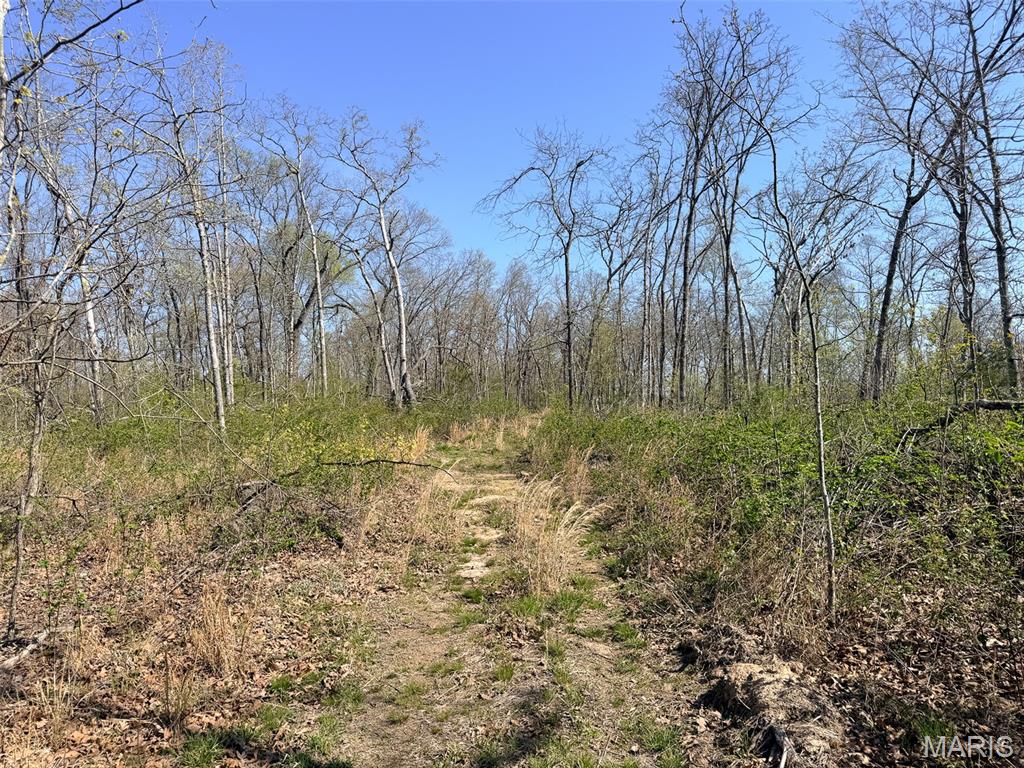 Oak Tree Farms - Farm