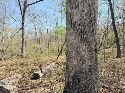 Tiny photo for 188 N Service E Road, Sullivan, MO 63080 (MLS # 26023039)