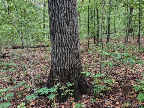 Tiny photo for 188 N Service E Road, Sullivan, MO 63080 (MLS # 26023039)