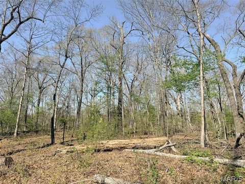 Tiny photo for 188 N Service E Road, Sullivan, MO 63080 (MLS # 26023039)