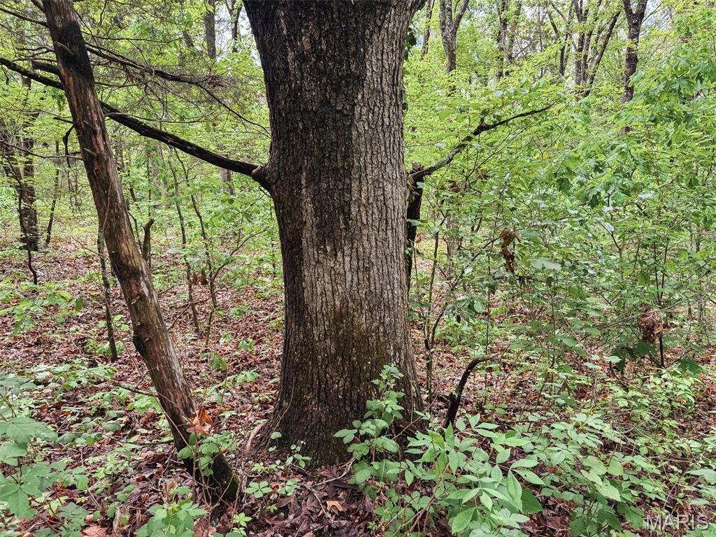 Oak Tree Farms - Farm