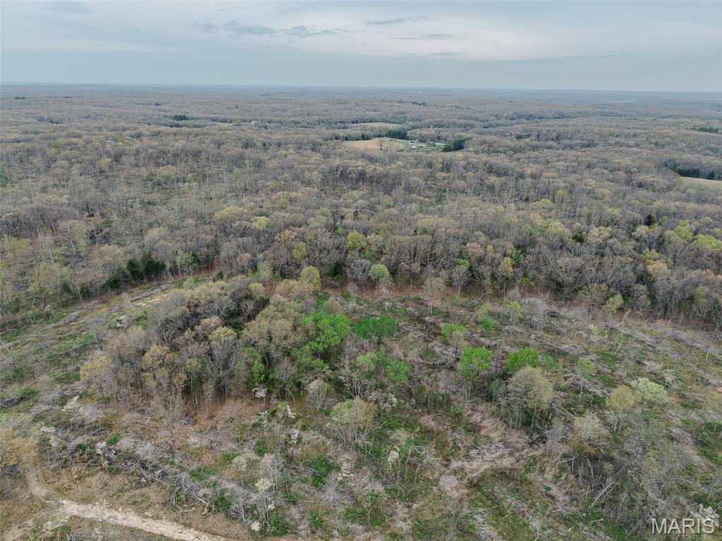 Oak Tree Farms - Farm