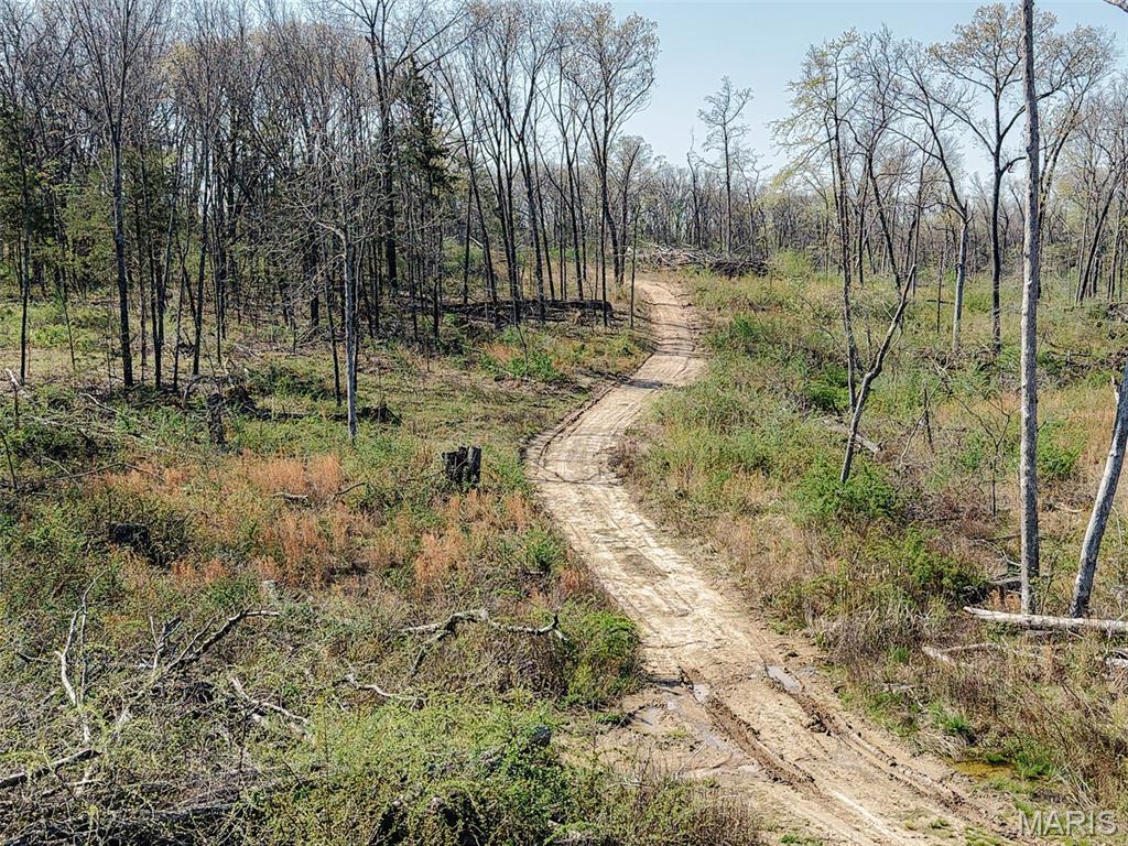 Oak Tree Farms - Farm