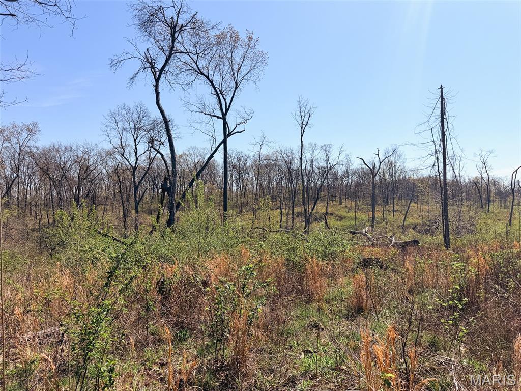 Oak Tree Farms - Farm