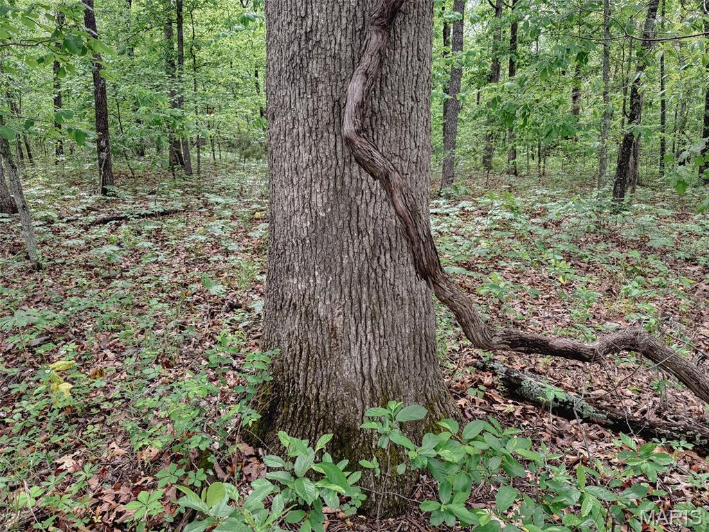 Oak Tree Farms - Farm