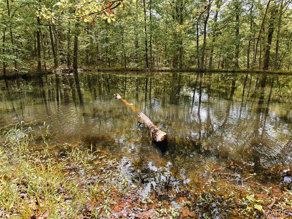 Oak Tree Farms - Farm