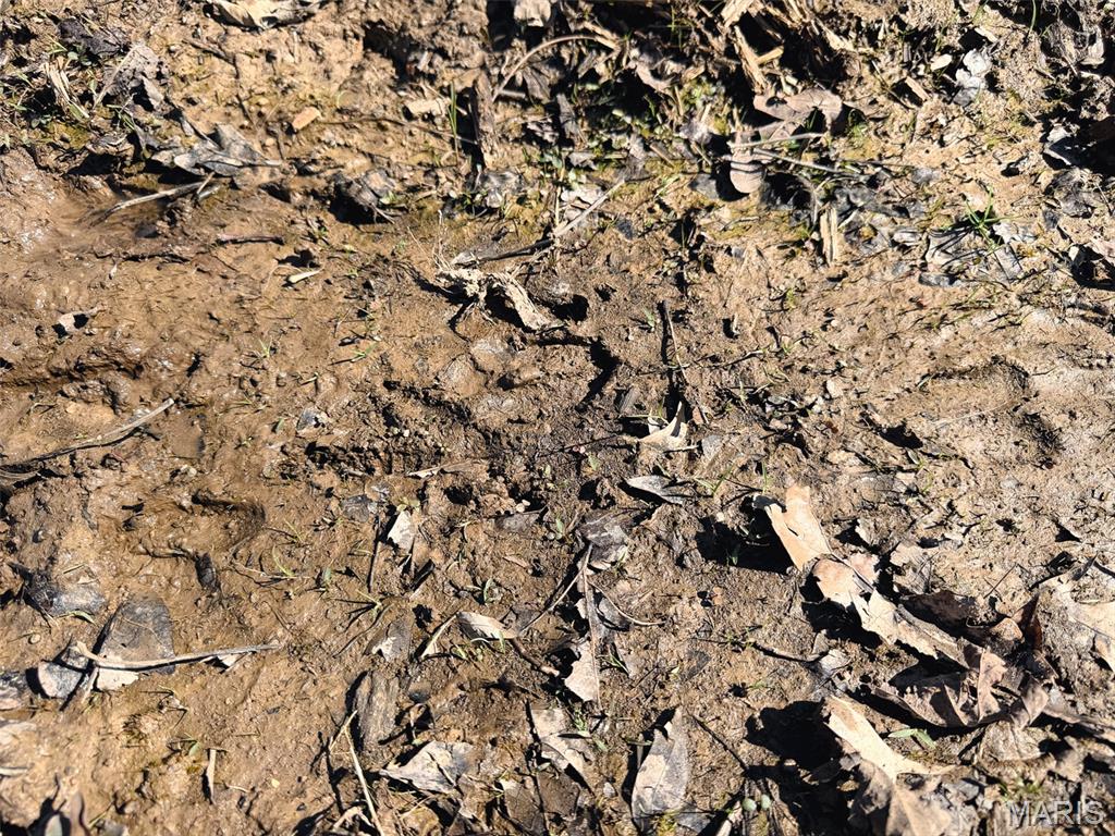 Oak Tree Farms - Farm