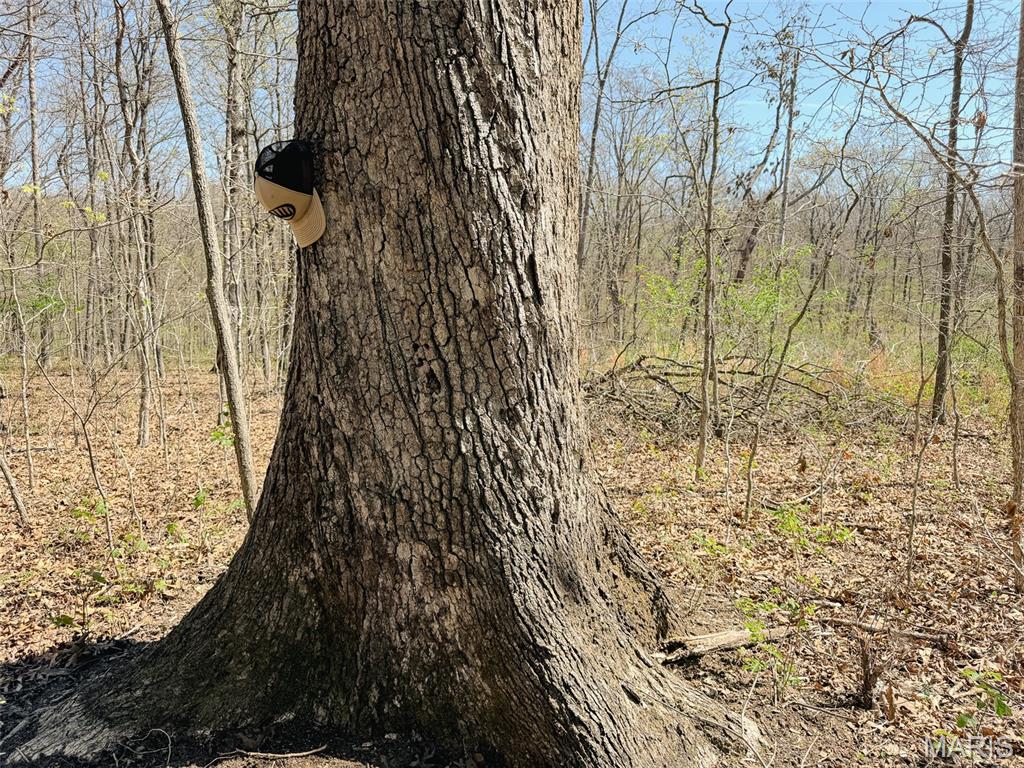 Oak Tree Farms - Farm