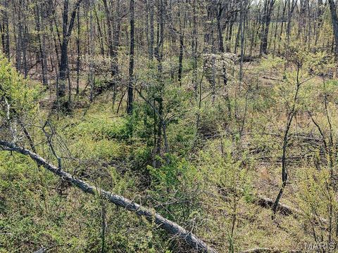 Tiny photo for 188 N Service E Road, Sullivan, MO 63080 (MLS # 26023039)
