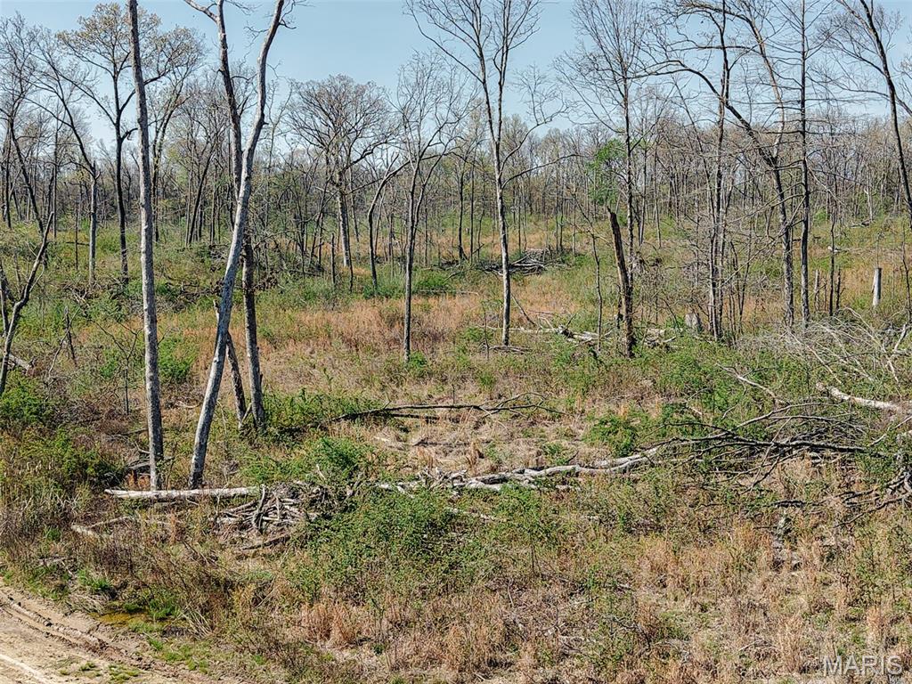 Oak Tree Farms - Farm