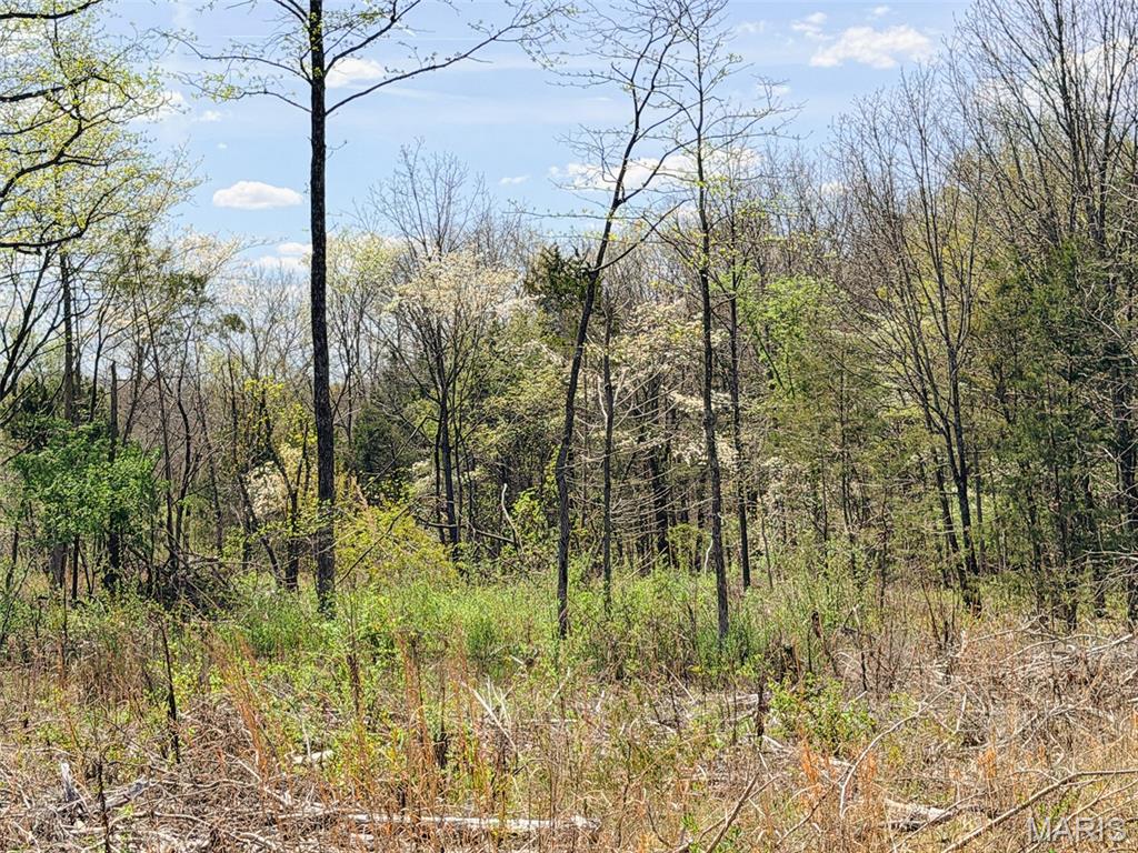 Oak Tree Farms - Farm