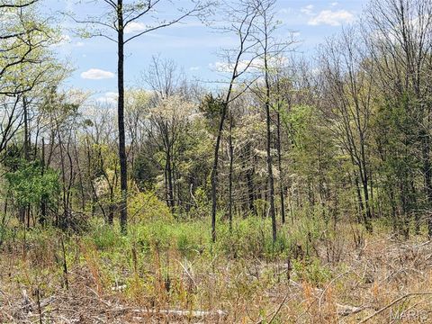 Tiny photo for 188 N Service E Road, Sullivan, MO 63080 (MLS # 26023039)