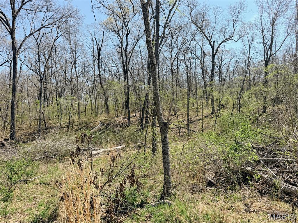 Oak Tree Farms - Farm