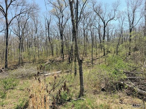 Tiny photo for 188 N Service E Road, Sullivan, MO 63080 (MLS # 26023039)