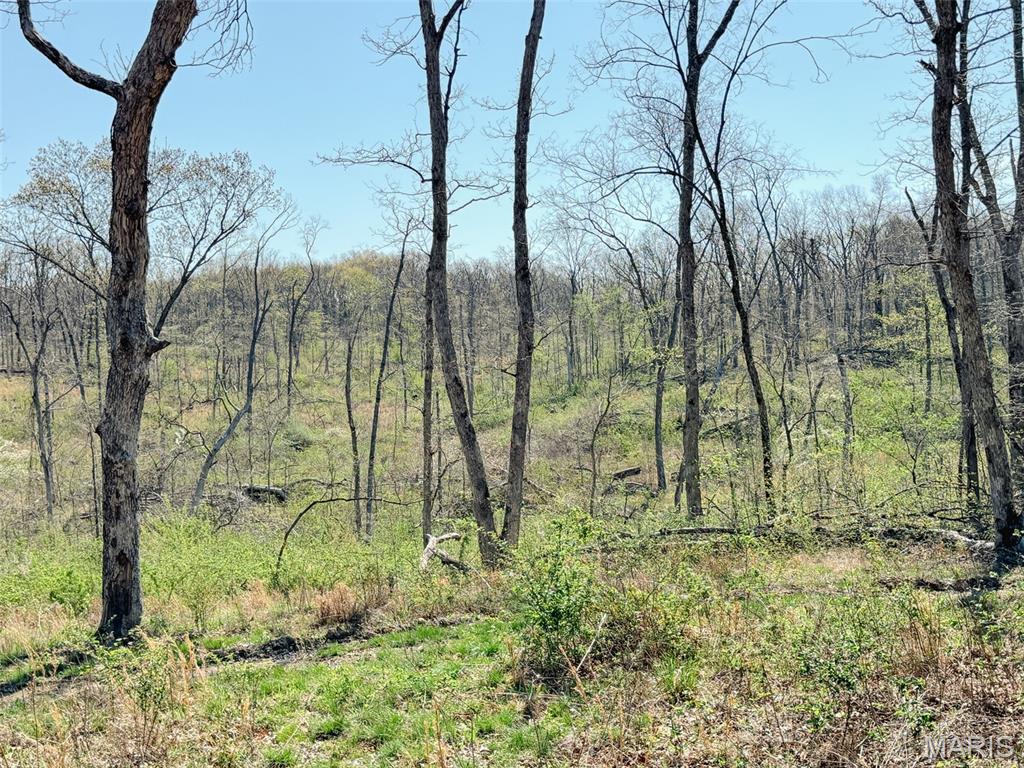 Oak Tree Farms - Farm