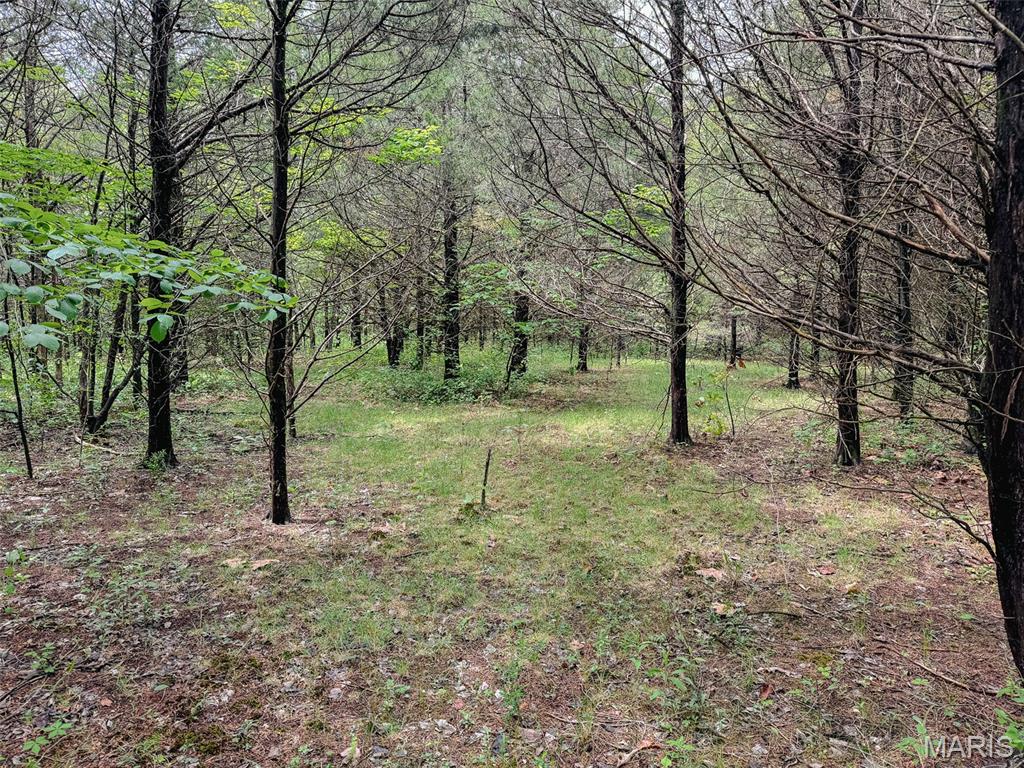 Oak Tree Farms - Farm