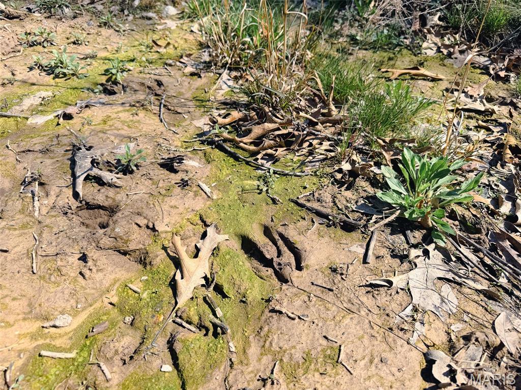 Oak Tree Farms - Farm