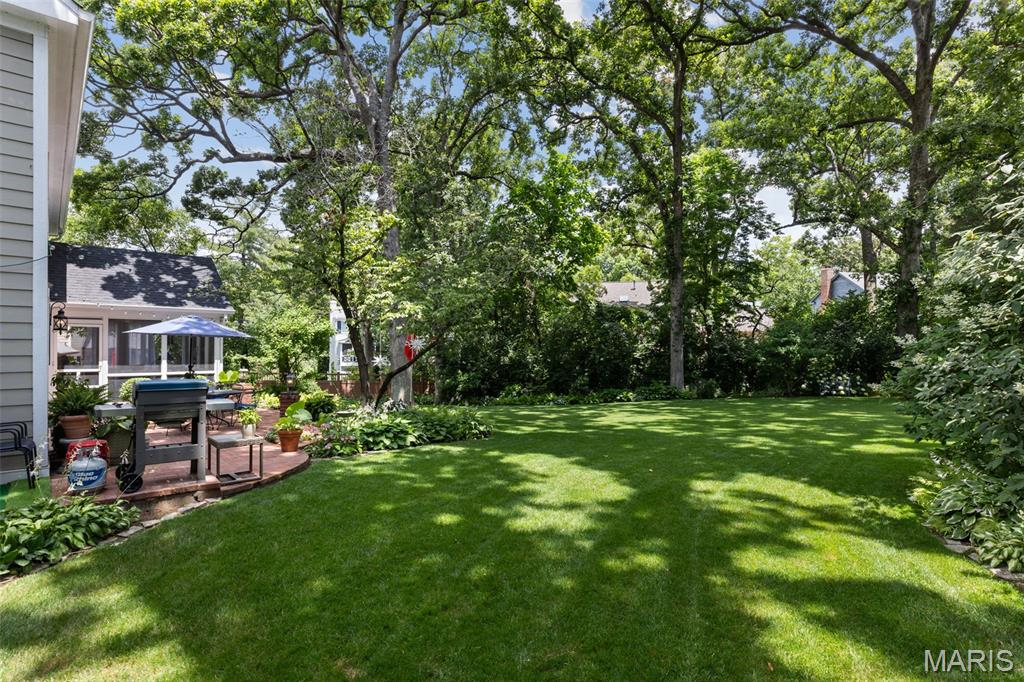 Webster Forest - Residential