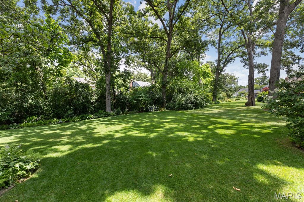 Webster Forest - Residential