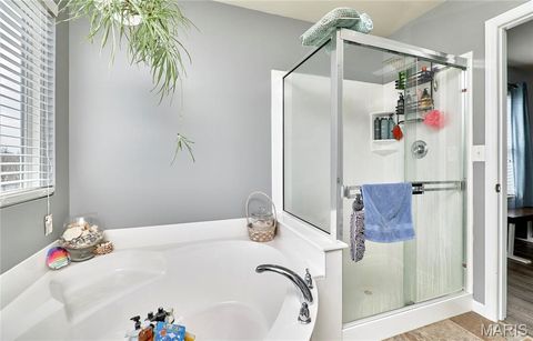 Tiny photo for 340 Denali Drive, Troy, MO 63379 (MLS # 26014835)