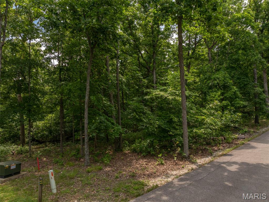 2528 Alpine Trails Drive