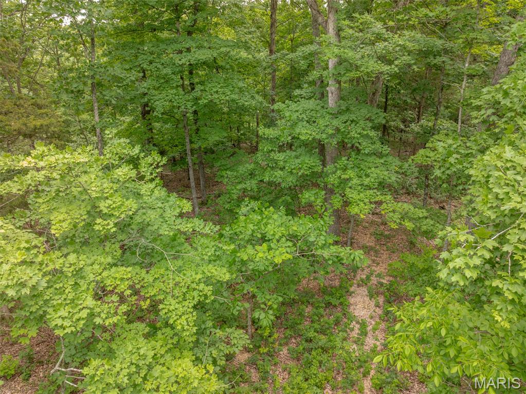 2528 Alpine Trails Drive