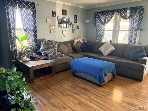 Tiny photo for 719 Elizabeth Street, Sullivan, MO 63080 (MLS # 26030809)