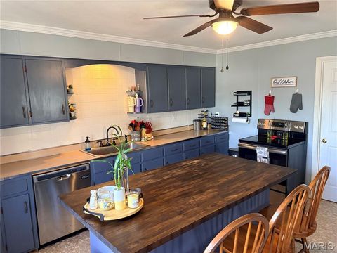 Tiny photo for 719 Elizabeth Street, Sullivan, MO 63080 (MLS # 26030809)