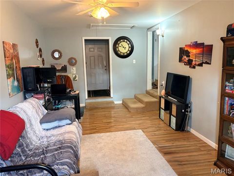 Tiny photo for 719 Elizabeth Street, Sullivan, MO 63080 (MLS # 26030809)