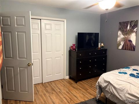 Tiny photo for 719 Elizabeth Street, Sullivan, MO 63080 (MLS # 26030809)