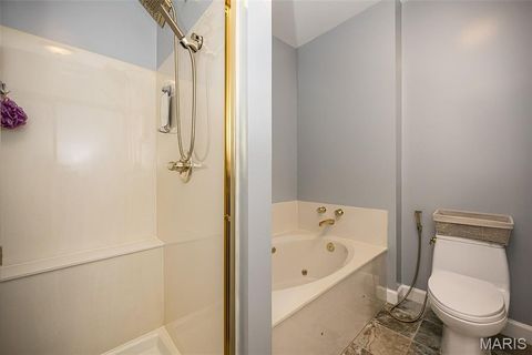 Tiny photo for 13101 Mill Crossing Court #300, Creve Coeur, MO 63141 (MLS # 26027756)