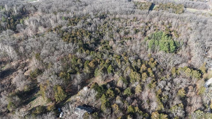 This 18+/- acres property near New Melle offers a rare opportunity to create your own private residential homestead. The land is currently undeveloped, giving you the freedom to design and build exactly what you envision. With its peaceful rural setting and plenty of space to grow, this property has excellent potential for a private country lifestyle while still being within convenient reach of nearby communities.