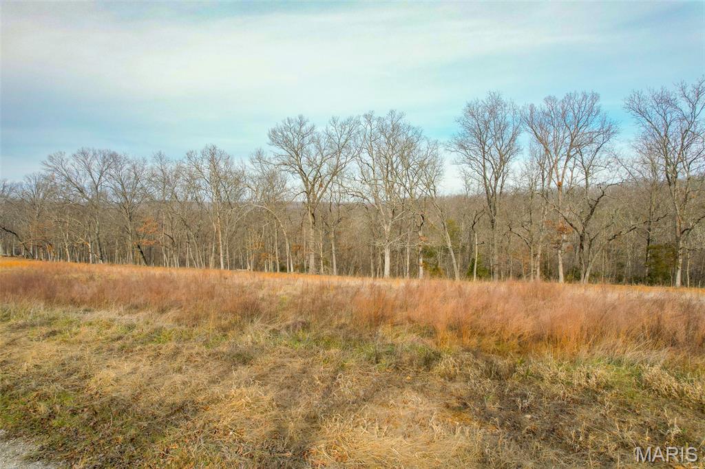 Sanctuary Farms Sub - Land