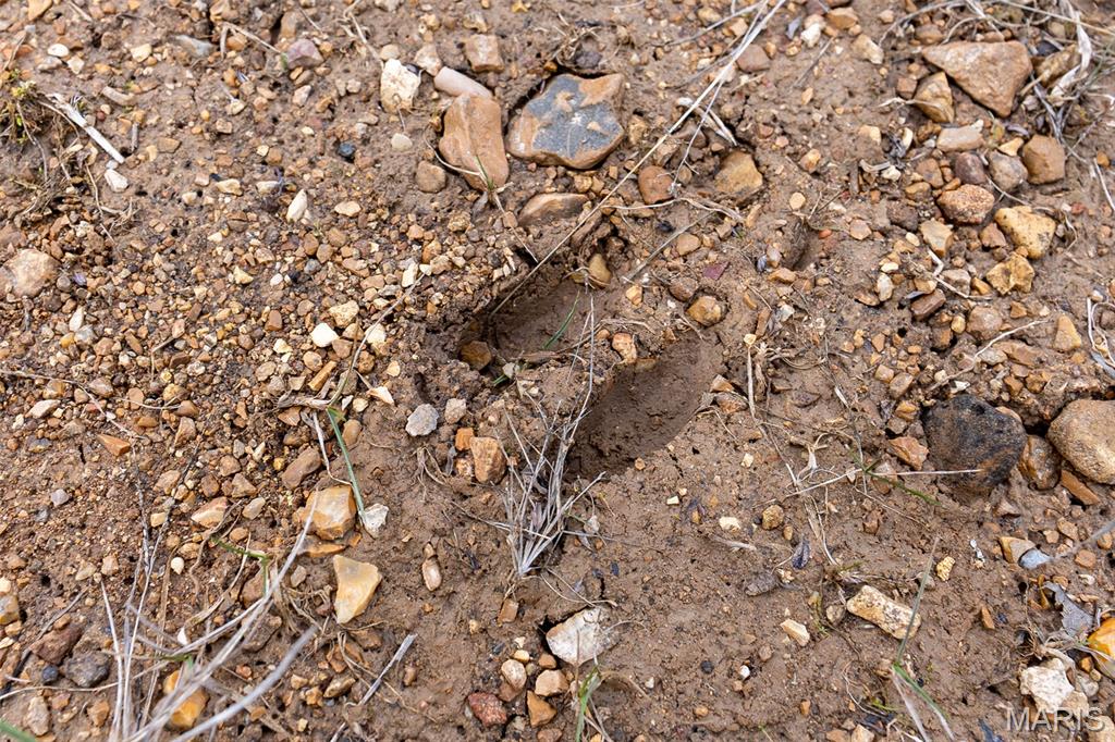 Sanctuary Farms Sub - Land