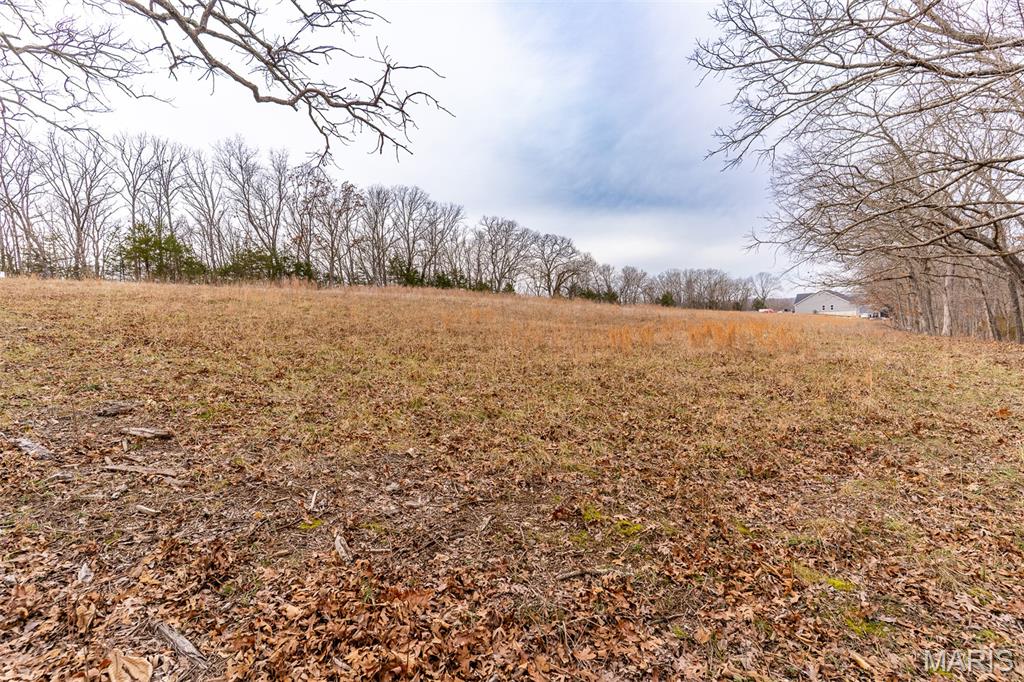 Sanctuary Farms Sub - Land