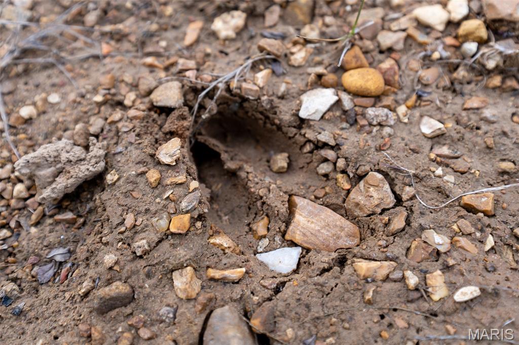 Sanctuary Farms Sub - Land
