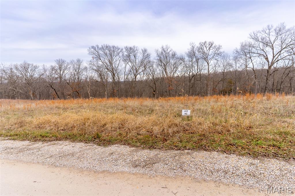 Sanctuary Farms Sub - Land