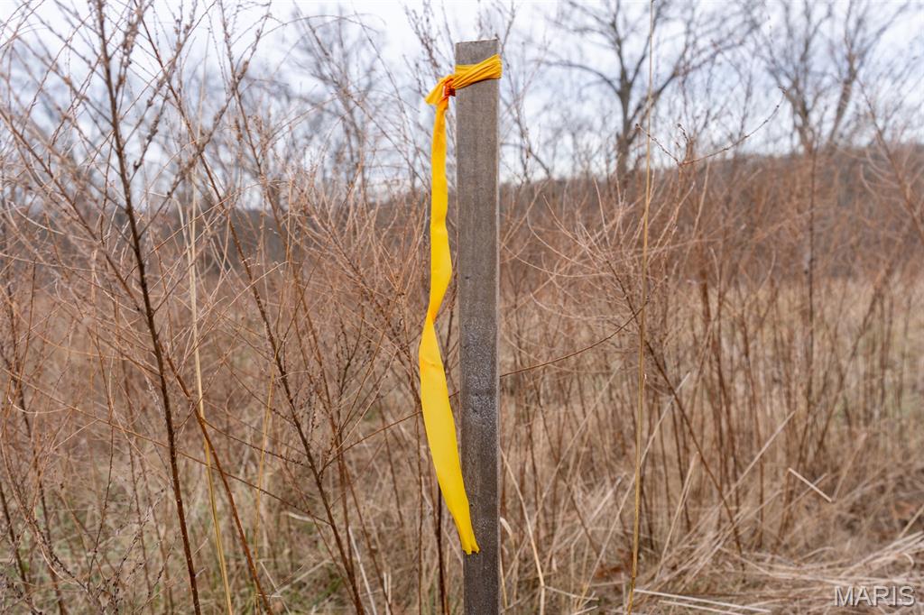 Sanctuary Farms Sub - Land