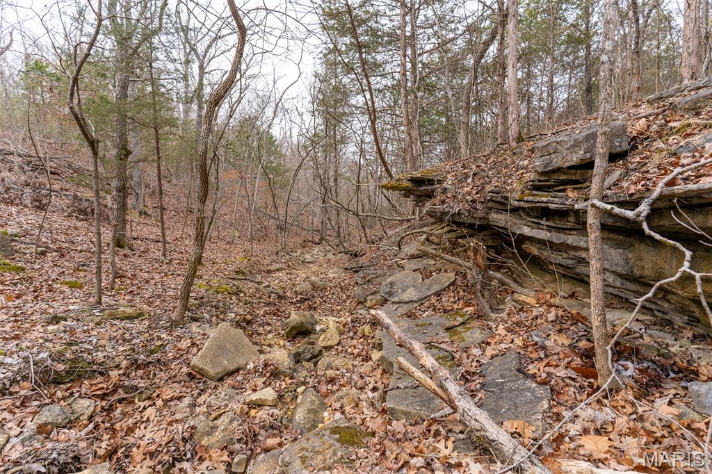 Sanctuary Farms Sub - Land