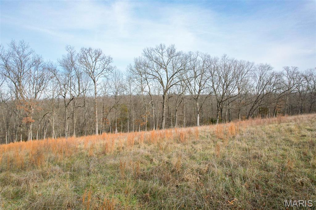 Sanctuary Farms Sub - Land