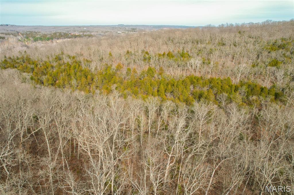 Sanctuary Farms Sub - Land