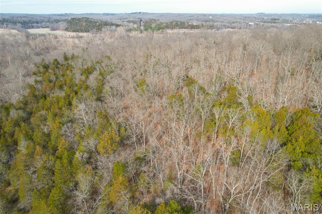 Sanctuary Farms Sub - Land